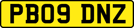 PB09DNZ