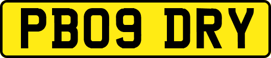 PB09DRY