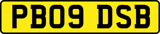 PB09DSB