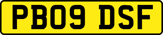 PB09DSF