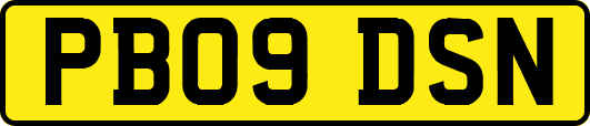 PB09DSN