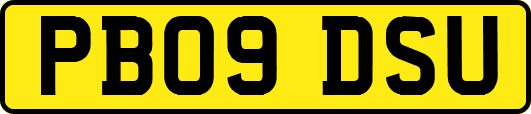 PB09DSU