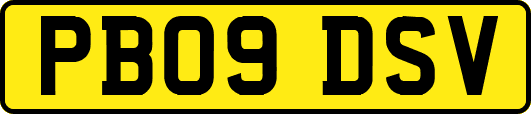 PB09DSV