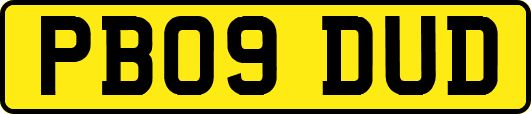 PB09DUD