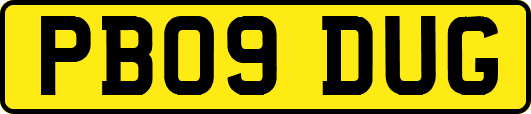 PB09DUG