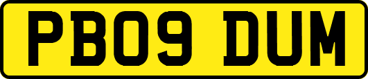 PB09DUM