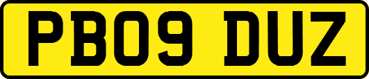 PB09DUZ