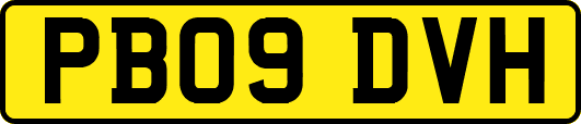 PB09DVH
