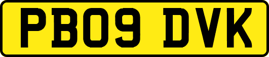 PB09DVK
