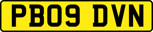 PB09DVN