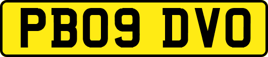 PB09DVO