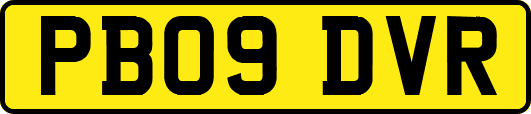 PB09DVR