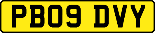 PB09DVY