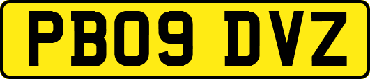 PB09DVZ