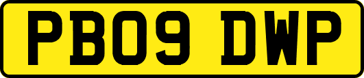 PB09DWP