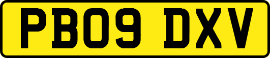PB09DXV
