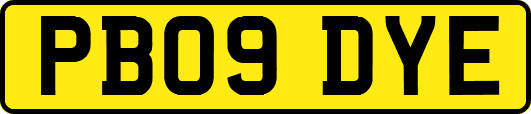 PB09DYE
