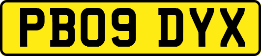 PB09DYX