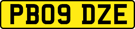 PB09DZE