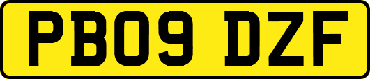 PB09DZF