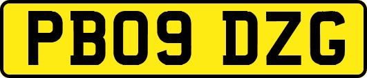 PB09DZG