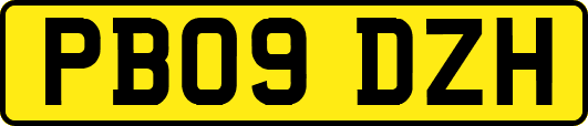 PB09DZH