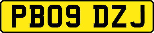 PB09DZJ