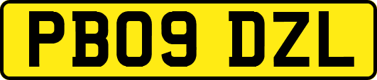 PB09DZL