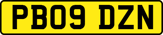 PB09DZN