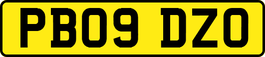 PB09DZO
