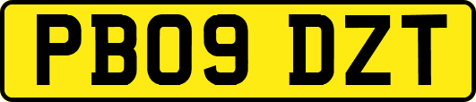PB09DZT