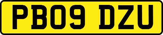 PB09DZU
