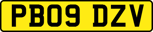 PB09DZV