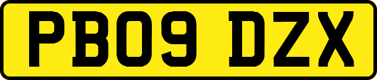 PB09DZX