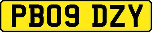 PB09DZY