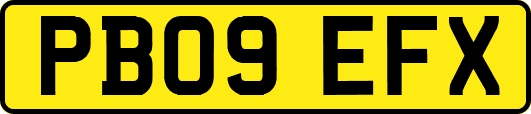 PB09EFX