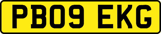 PB09EKG