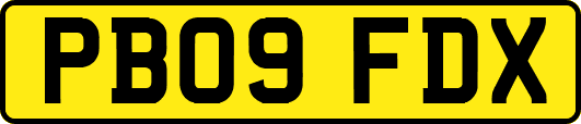 PB09FDX