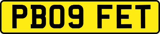PB09FET