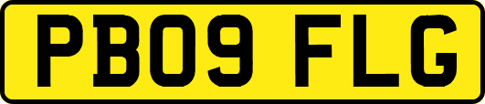 PB09FLG