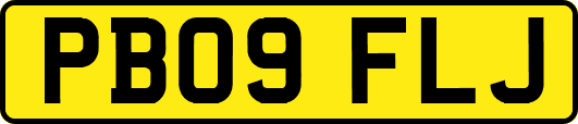 PB09FLJ