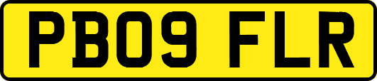 PB09FLR