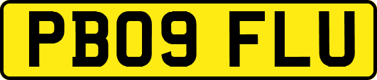 PB09FLU