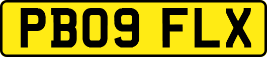 PB09FLX