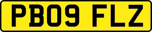 PB09FLZ