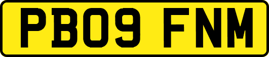 PB09FNM