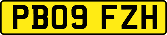PB09FZH