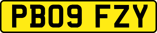 PB09FZY