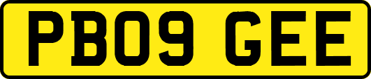 PB09GEE