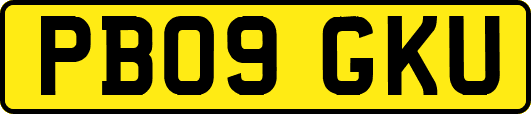 PB09GKU
